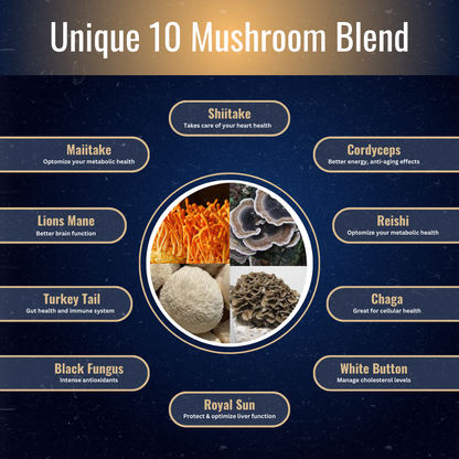 FocusFuel - #1 Mushroom-Based Supplement for Entrepreneurs